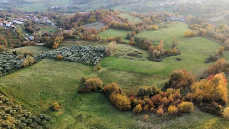 In vendita, nel suggestivo comune di Brogliano località Quargnenta, presentiamo un'opportunità un...