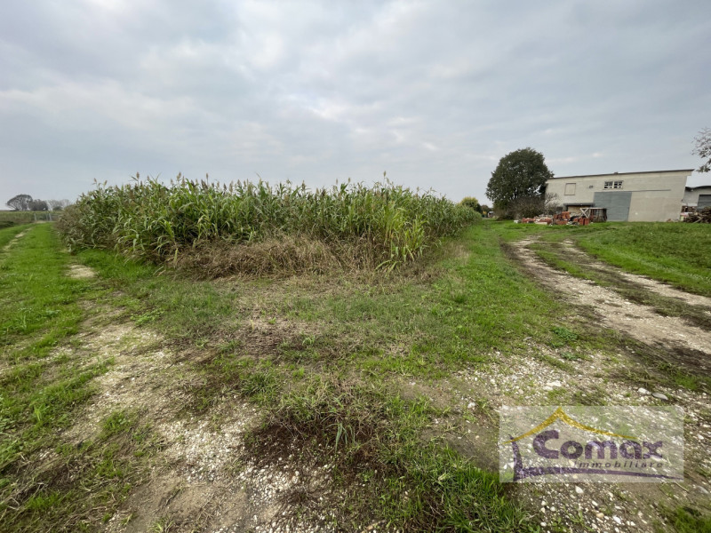 Scopri questa splendida casa singola situata nel cuore di Saccolongo, un'opportunità imperdibile ...