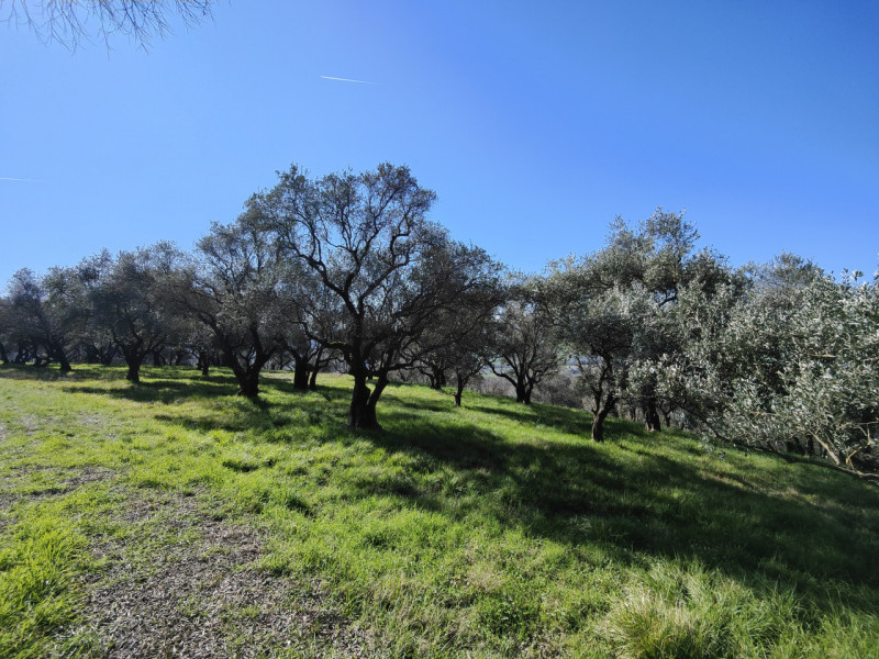 Verona Vendita Terreno