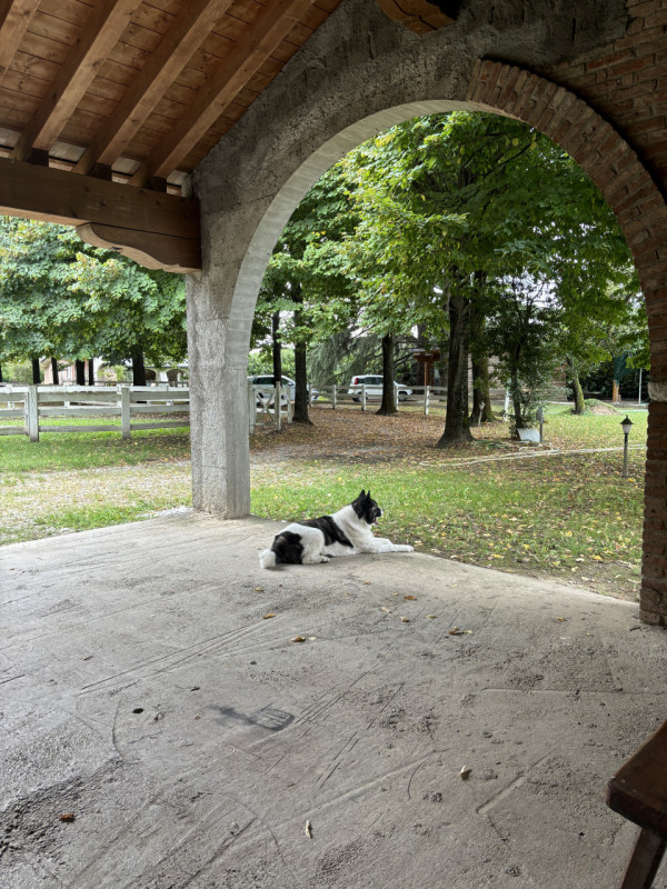 LOREGGIA. Scoprite la vostra oasi di tranquillità con questa ampia villa contemporanea immersa ne...