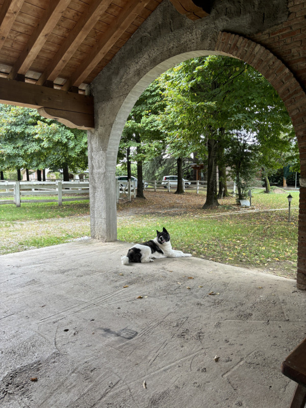 LOREGGIA. Scoprite la vostra oasi di tranquillità con questa ampia villa contemporanea immersa ne...
