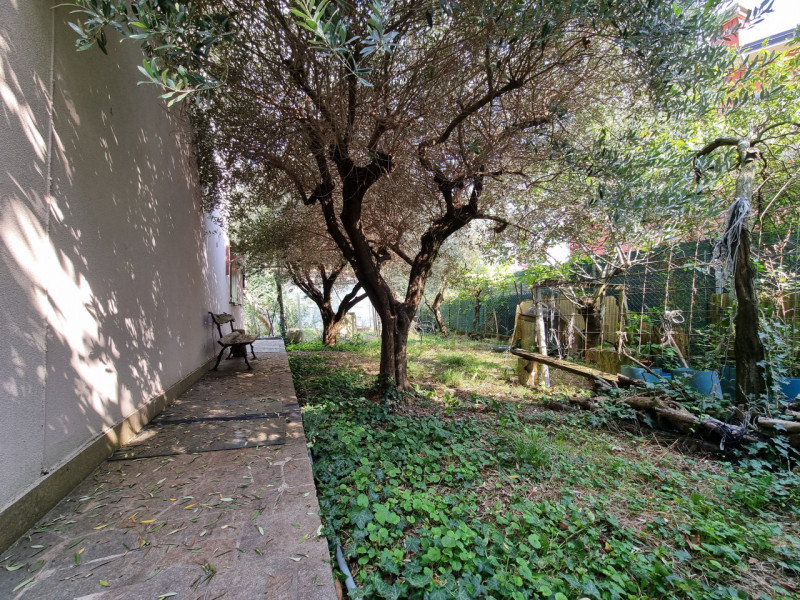 Lozzo Atestino (PD), sita in pieno centro e comodissima ai servizi di prima necessità, proponiamo...