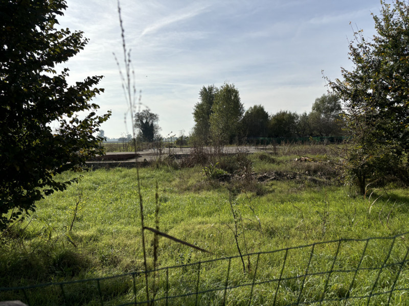 E' UNA VERA OCCASIONE..!!! A CONSELVE IN ZONA TRANQUILLA LOTTO DI TERRENO, PUOI COSTRUIRTI LA TUA...