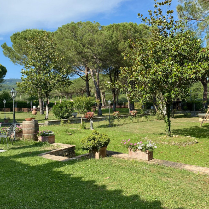 immagine annuncio 5 di 14
