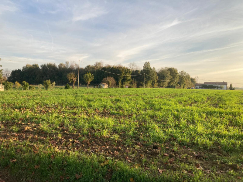 SOSSANO: Valida opportunità anche per investimento, terreno agricolo irriguo di circa 5 campi sit...