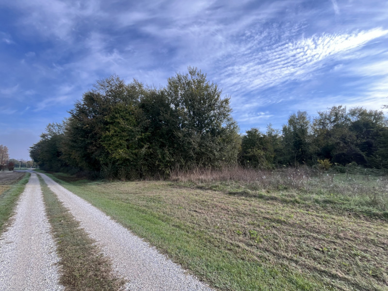 SOSSANO: Valida opportunità anche per investimento, terreno agricolo irriguo di circa 5 campi sit...