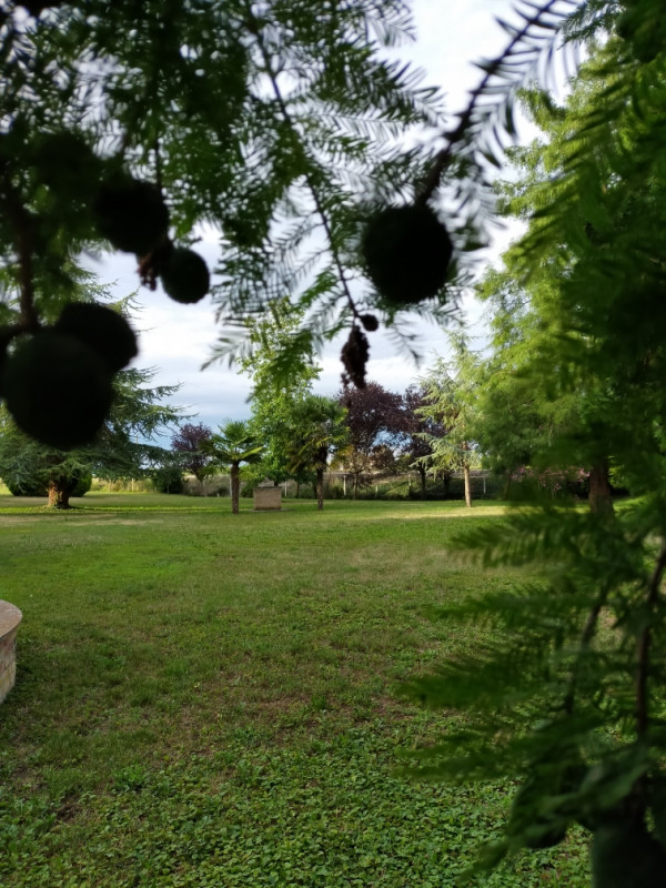 Scopri un'opportunità unica di investimento nel cuore di Correzzola. Proponiamo in vendita un amp...