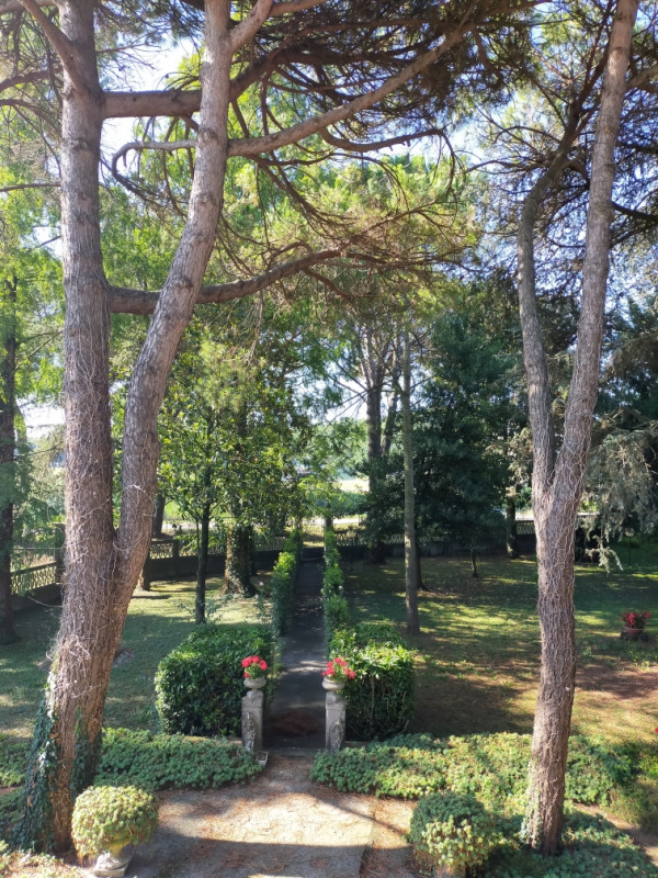 Scopri un'opportunità unica di investimento nel cuore di Correzzola. Proponiamo in vendita un amp...