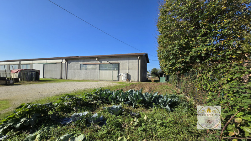 RIF. S388 - Proponiamo a Casale di Scodosia Villetta Singola con annesso capannone e terreno adia...