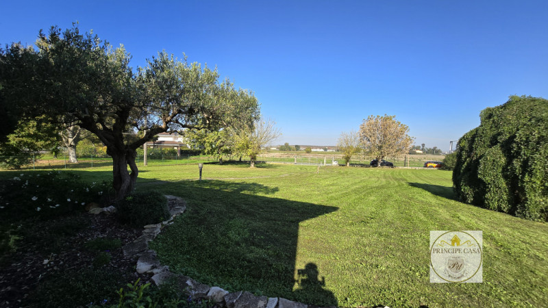 RIF. S388 - Proponiamo a Casale di Scodosia Villetta Singola con annesso capannone e terreno adia...