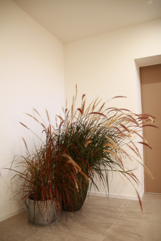 rif. A300 20.21  (per info 3312127142 Andrea)

Le foto sono dell' appartamento Campione !! Non so...