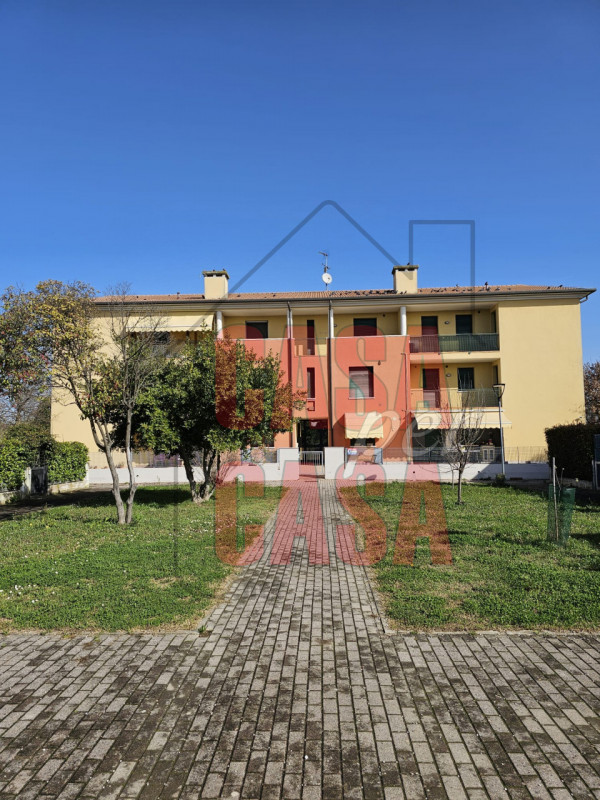 Piombino Dese Vendita Appartamento trilocale