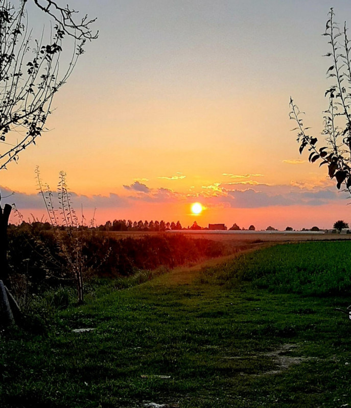 SOSSANO: Situato in zona di campagna ed ottimamente collegato al Centro del paese, ampio immobile...