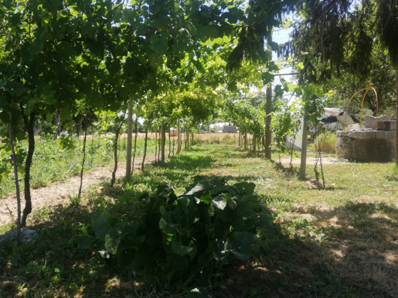 SOSSANO: Situato in zona di campagna ed ottimamente collegato al Centro del paese, ampio immobile...