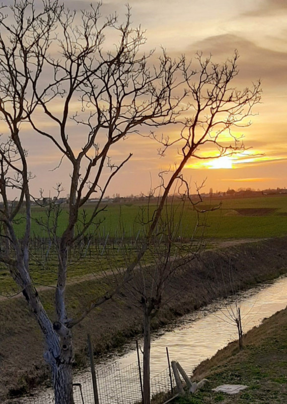 SOSSANO: Situato in zona di campagna ed ottimamente collegato al Centro del paese, ampio immobile...