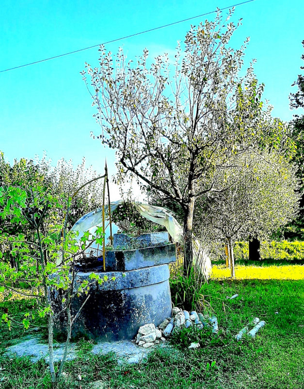 SOSSANO: Situato in zona di campagna ed ottimamente collegato al Centro del paese, ampio immobile...