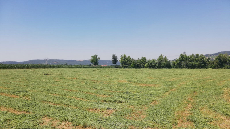 SOSSANO: Situato in zona di campagna ed ottimamente collegato al Centro del paese, ampio immobile...
