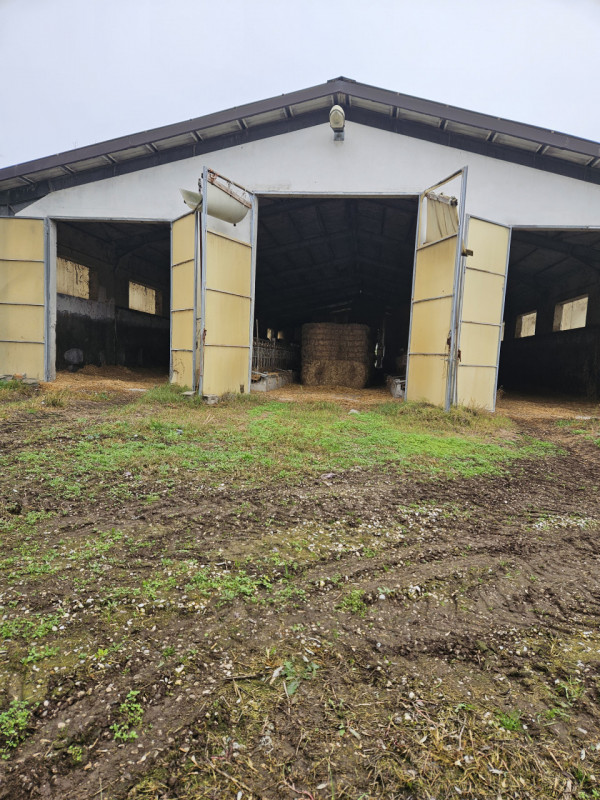 Sei pronto per una straordinaria opportunità nel cuore della campagna padovana? Ti presentiamo un...