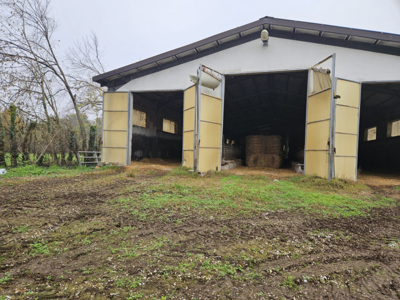 Sei pronto per una straordinaria opportunità nel cuore della campagna padovana? Ti presentiamo un...