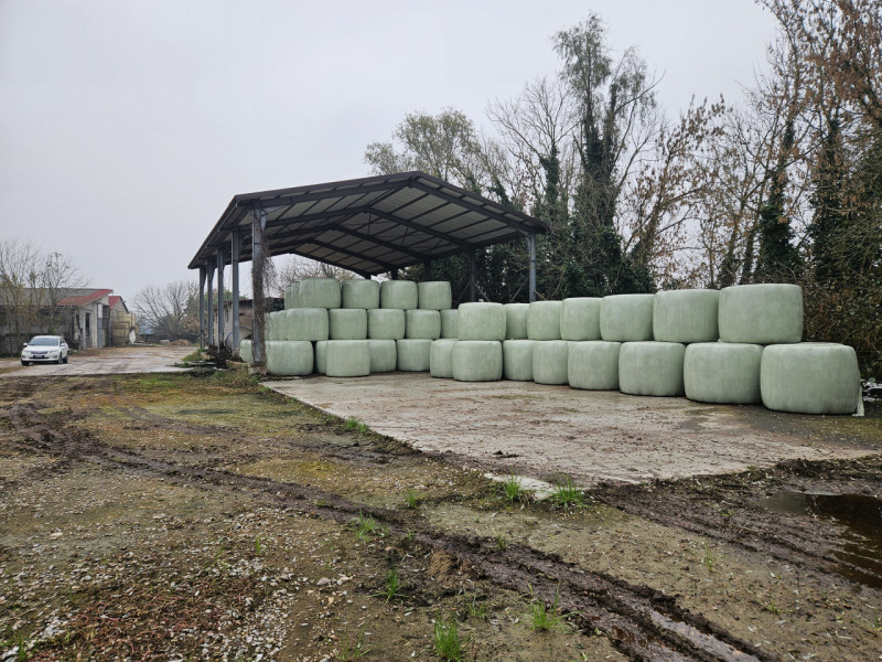 Sei pronto per una straordinaria opportunità nel cuore della campagna padovana? Ti presentiamo un...