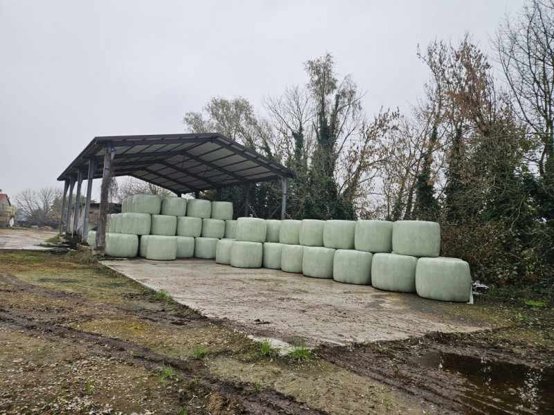 Sei pronto per una straordinaria opportunità nel cuore della campagna padovana? Ti presentiamo un...