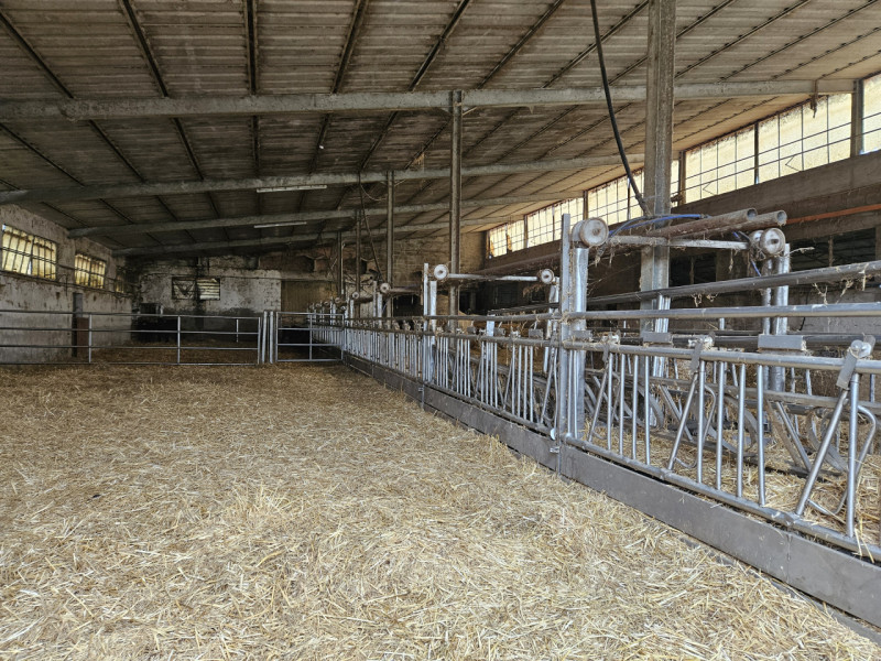 Sei pronto per una straordinaria opportunità nel cuore della campagna padovana? Ti presentiamo un...