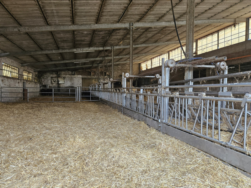 Sei pronto per una straordinaria opportunità nel cuore della campagna padovana? Ti presentiamo un...