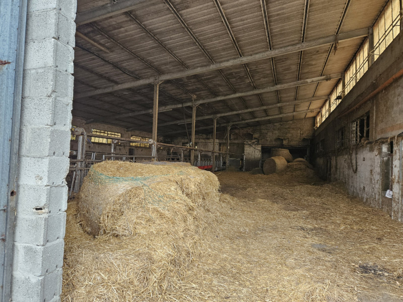 Sei pronto per una straordinaria opportunità nel cuore della campagna padovana? Ti presentiamo un...