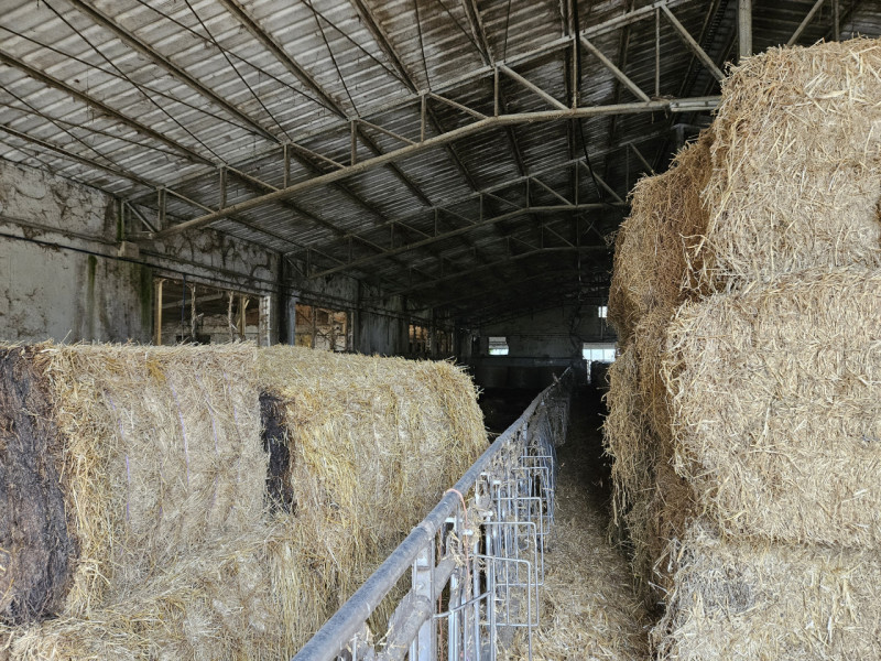 Sei pronto per una straordinaria opportunità nel cuore della campagna padovana? Ti presentiamo un...
