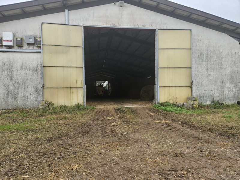 Sei pronto per una straordinaria opportunità nel cuore della campagna padovana? Ti presentiamo un...