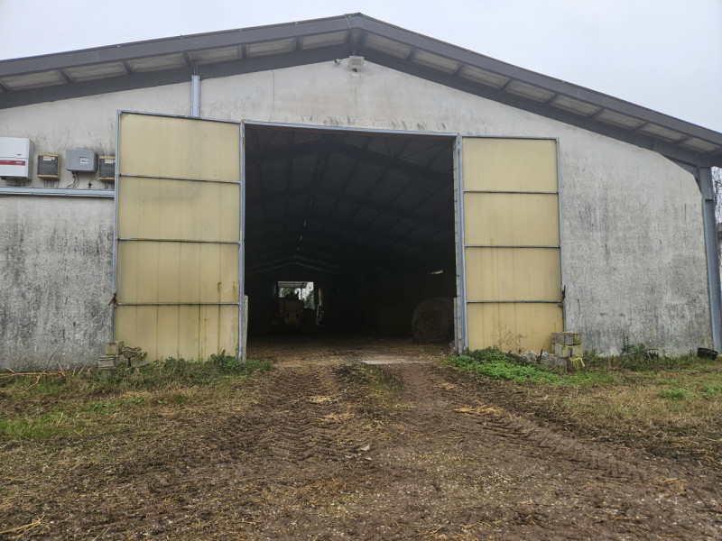 Sei pronto per una straordinaria opportunità nel cuore della campagna padovana? Ti presentiamo un...