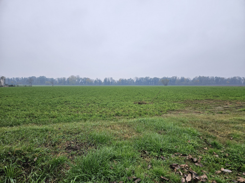 Sei pronto per una straordinaria opportunità nel cuore della campagna padovana? Ti presentiamo un...