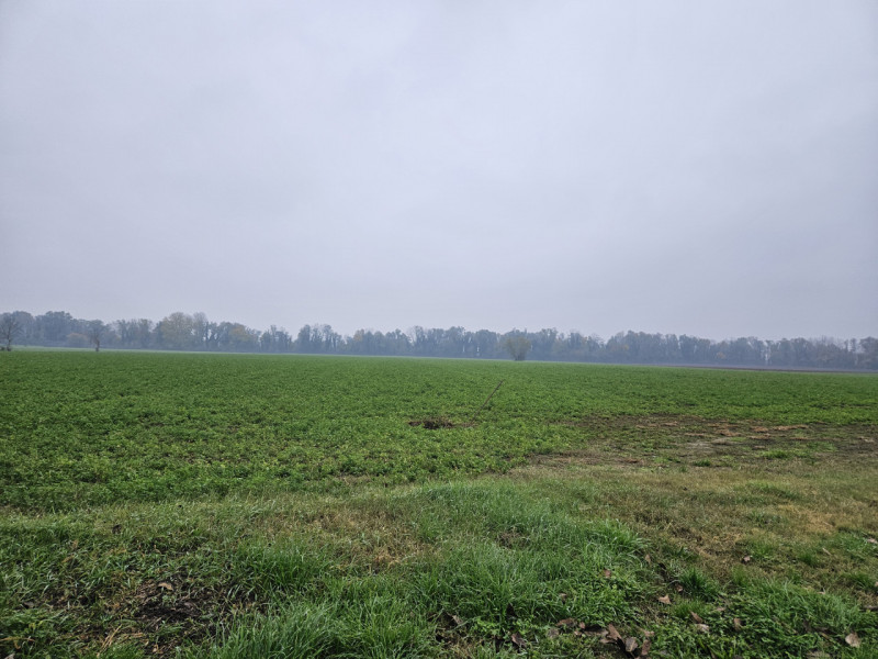 Sei pronto per una straordinaria opportunità nel cuore della campagna padovana? Ti presentiamo un...