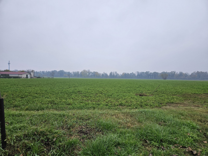 Sei pronto per una straordinaria opportunità nel cuore della campagna padovana? Ti presentiamo un...