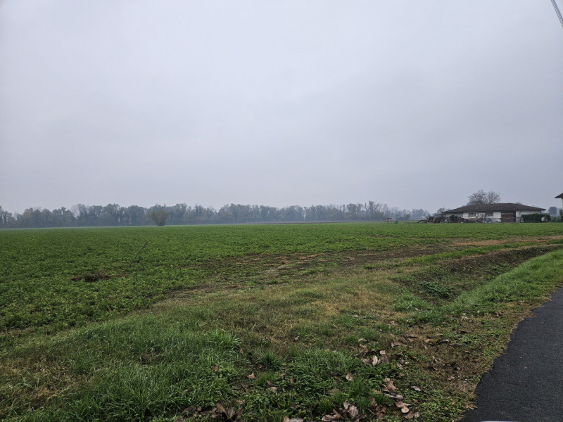 Sei pronto per una straordinaria opportunità nel cuore della campagna padovana? Ti presentiamo un...