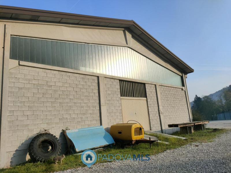 Immobile in esclusiva al Gruppo Padova MLS
TEOLO - Villa Proponiamo in vendita un capannone di ci...