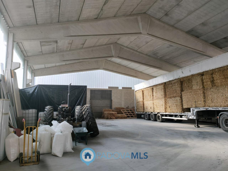 Immobile in esclusiva al Gruppo Padova MLS
TEOLO - Villa Proponiamo in vendita un capannone di ci...