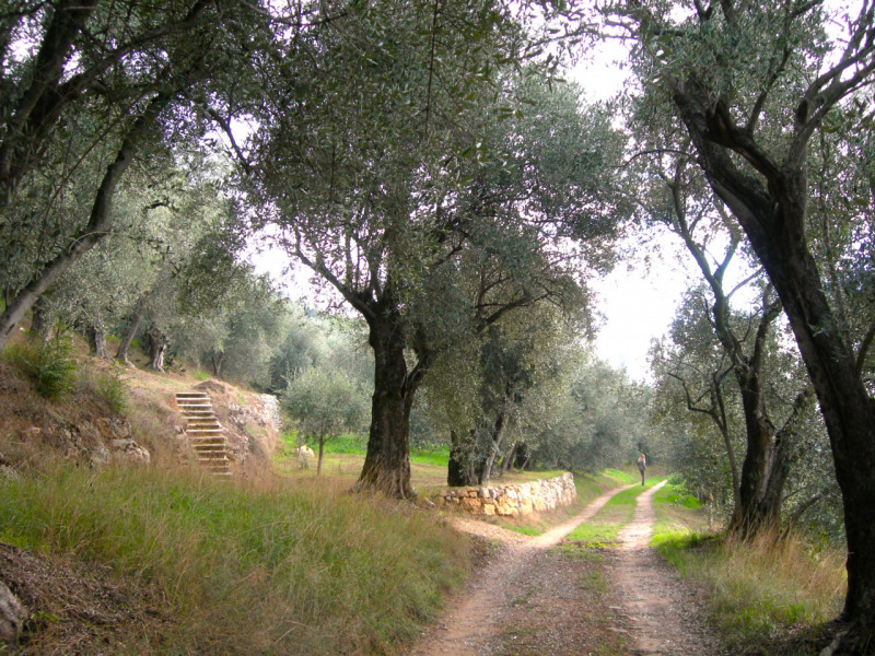VILLAGA: Scopri la tua oasi di tranquillità nel cuore della natura con questo straordinario agrit...