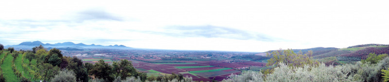 VILLAGA: Scopri la tua oasi di tranquillità nel cuore della natura con questo straordinario agrit...