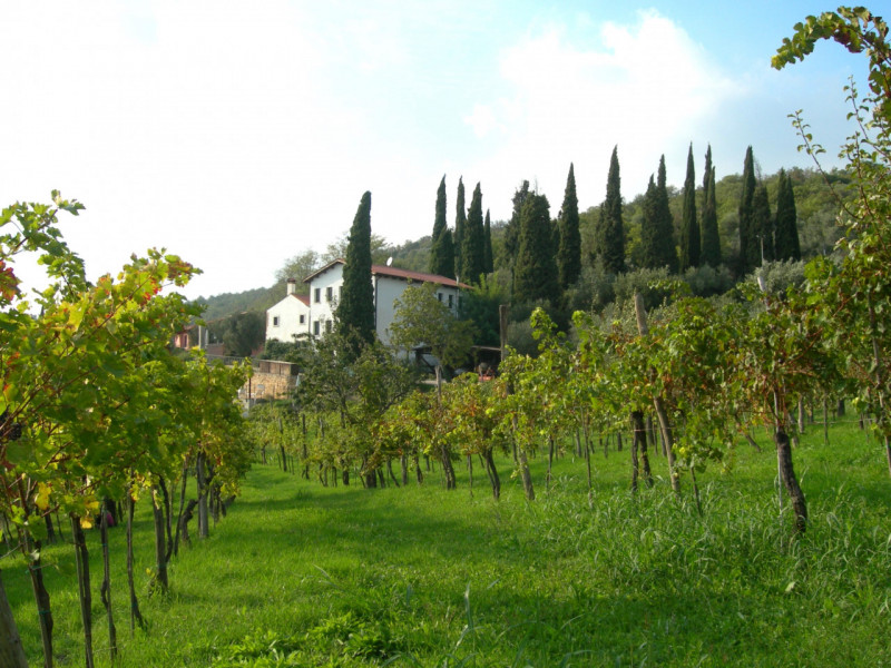 VILLAGA: Scopri la tua oasi di tranquillità nel cuore della natura con questo straordinario agrit...