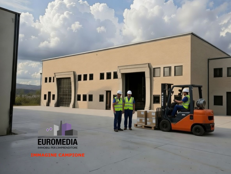 San Bonifacio Affitto Capannone