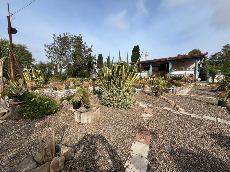 Stanco del caos cittadino? È il momento di riscoprire il valore del tempo e la bellezza di una vi...