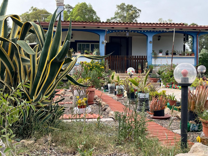 Stanco del caos cittadino? È il momento di riscoprire il valore del tempo e la bellezza di una vi...