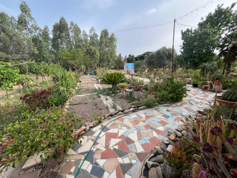 Stanco del caos cittadino? È il momento di riscoprire il valore del tempo e la bellezza di una vi...