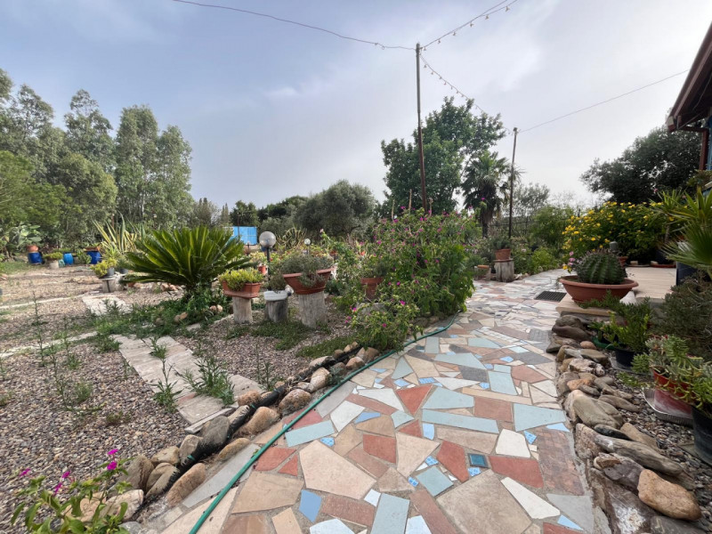 Stanco del caos cittadino? È il momento di riscoprire il valore del tempo e la bellezza di una vi...