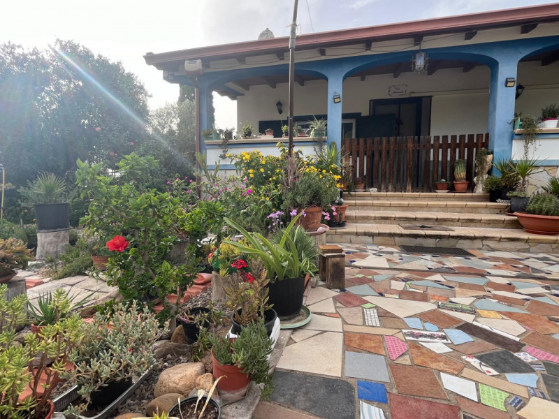 Stanco del caos cittadino? È il momento di riscoprire il valore del tempo e la bellezza di una vi...