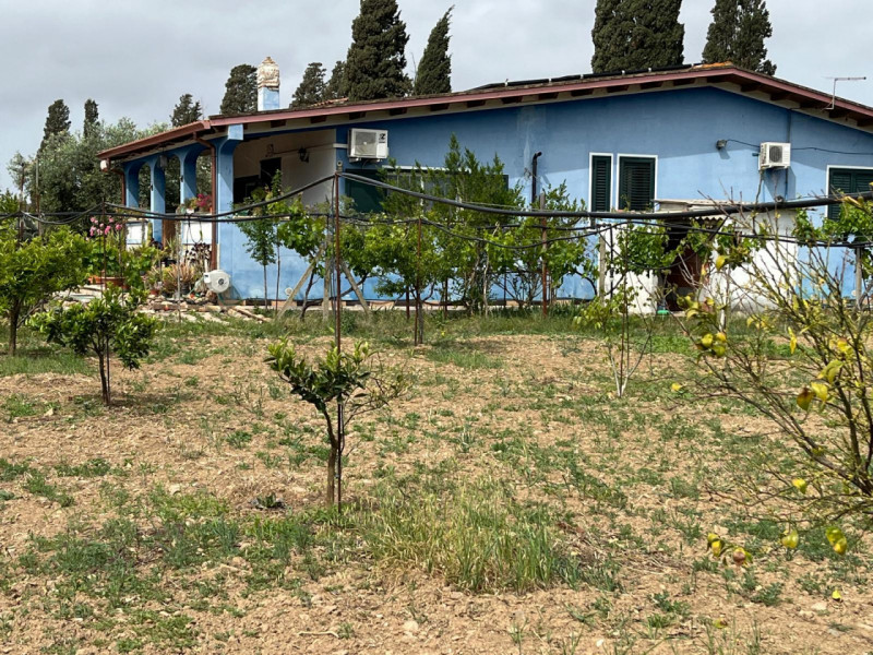 Stanco del caos cittadino? È il momento di riscoprire il valore del tempo e la bellezza di una vi...