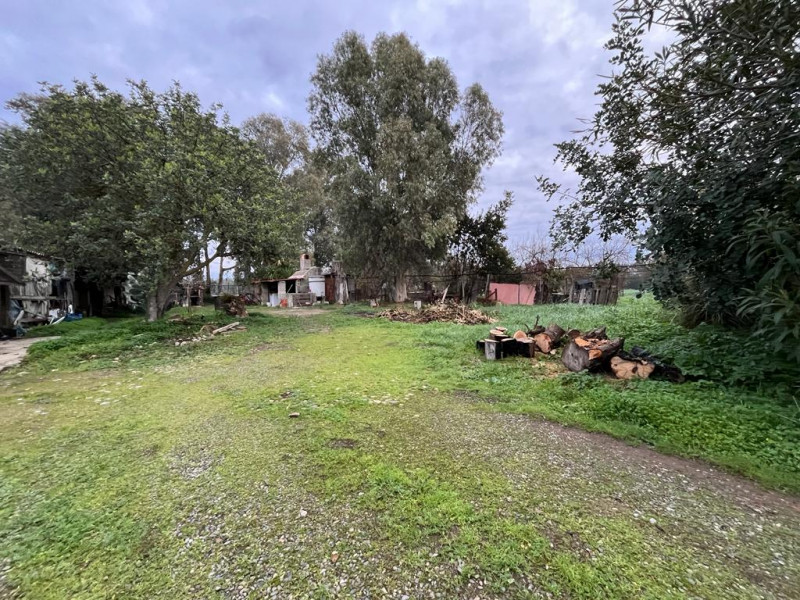 Stanco del caos cittadino? È il momento di riscoprire il valore del tempo e la bellezza di una vi...