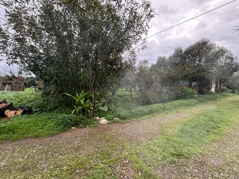 Stanco del caos cittadino? È il momento di riscoprire il valore del tempo e la bellezza di una vi...