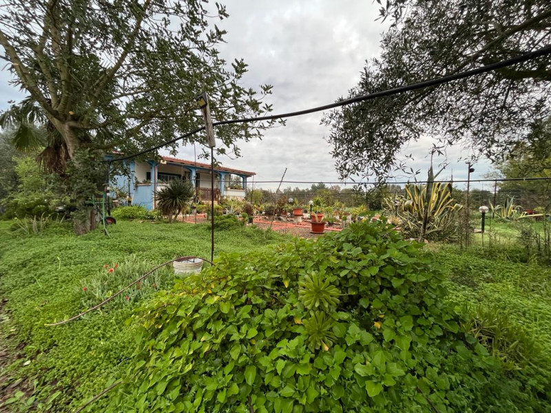 Stanco del caos cittadino? È il momento di riscoprire il valore del tempo e la bellezza di una vi...